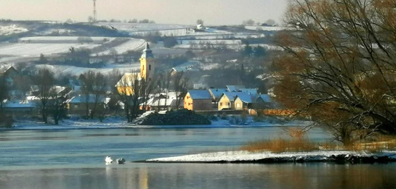 Danube Fairy Villa Futog Exteriör bild
