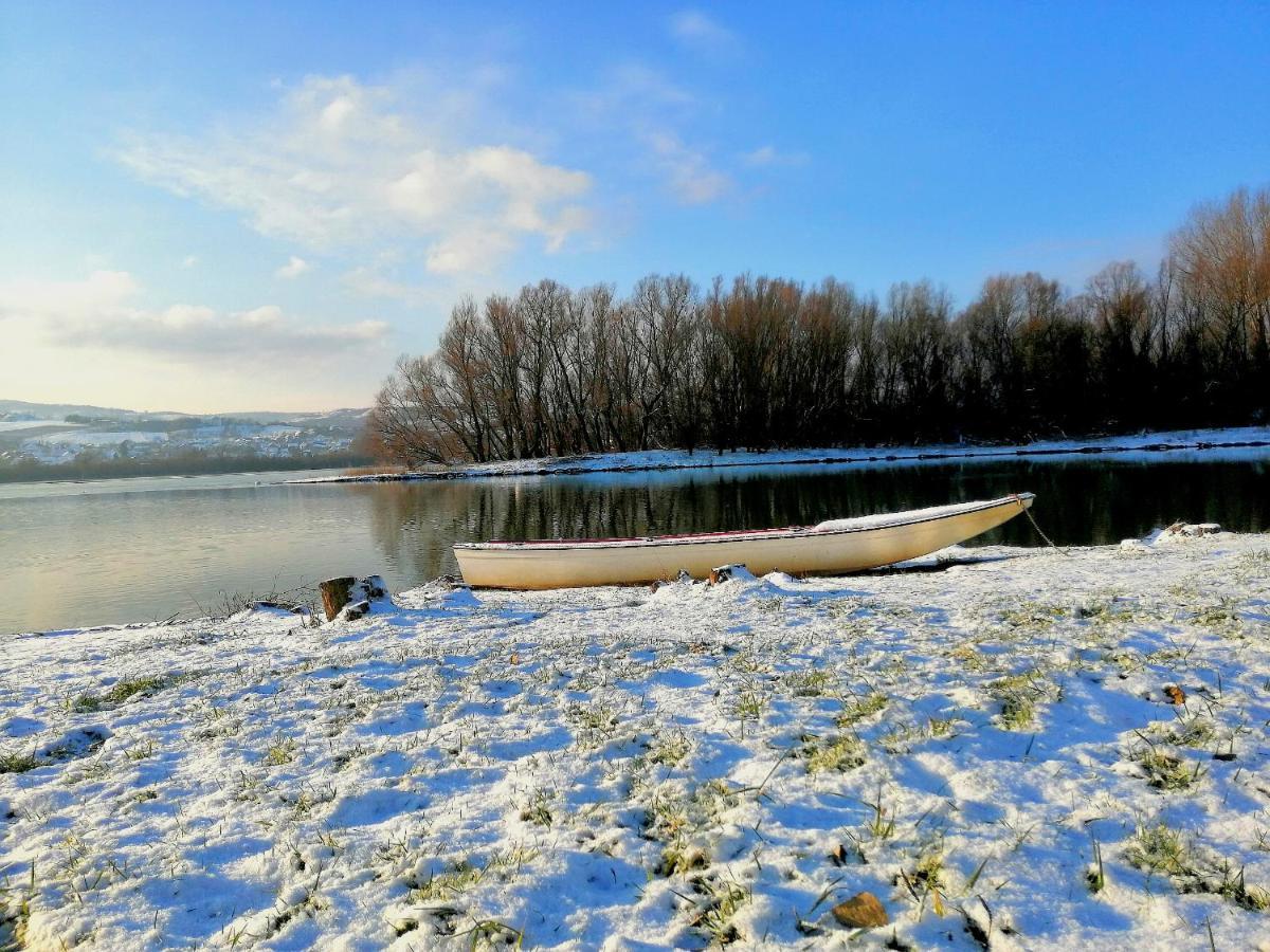 Danube Fairy Villa Futog Exteriör bild