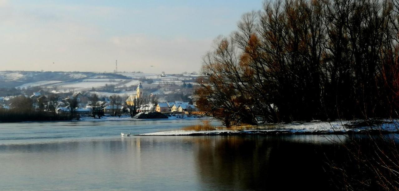 Danube Fairy Villa Futog Exteriör bild