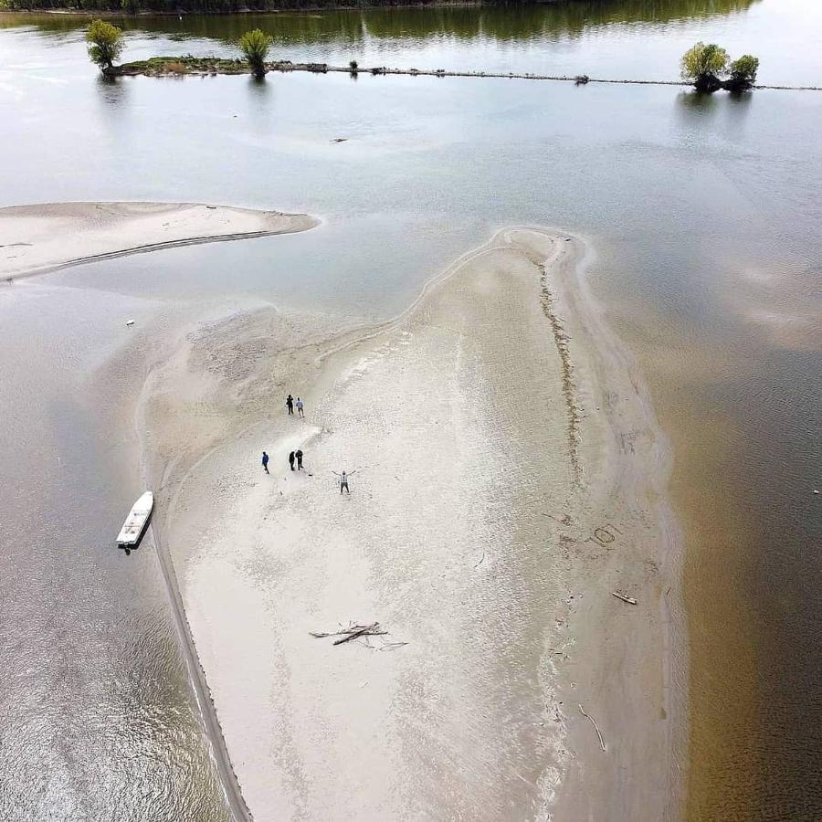 Danube Fairy Villa Futog Exteriör bild