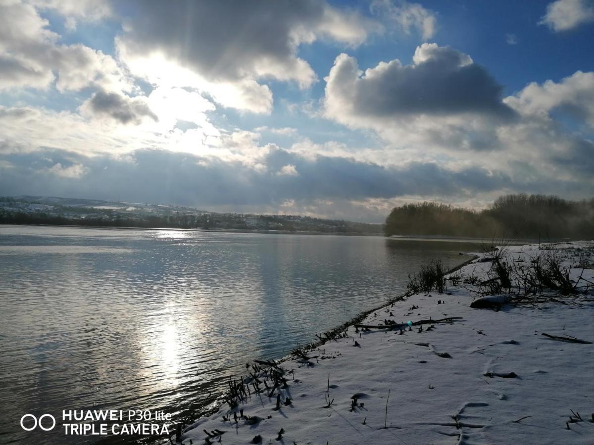Danube Fairy Villa Futog Exteriör bild