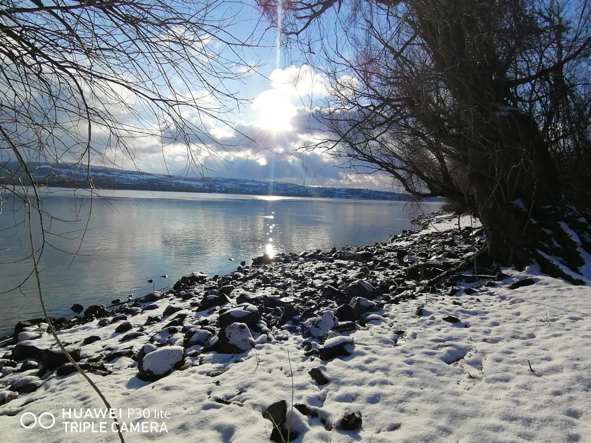 Danube Fairy Villa Futog Exteriör bild