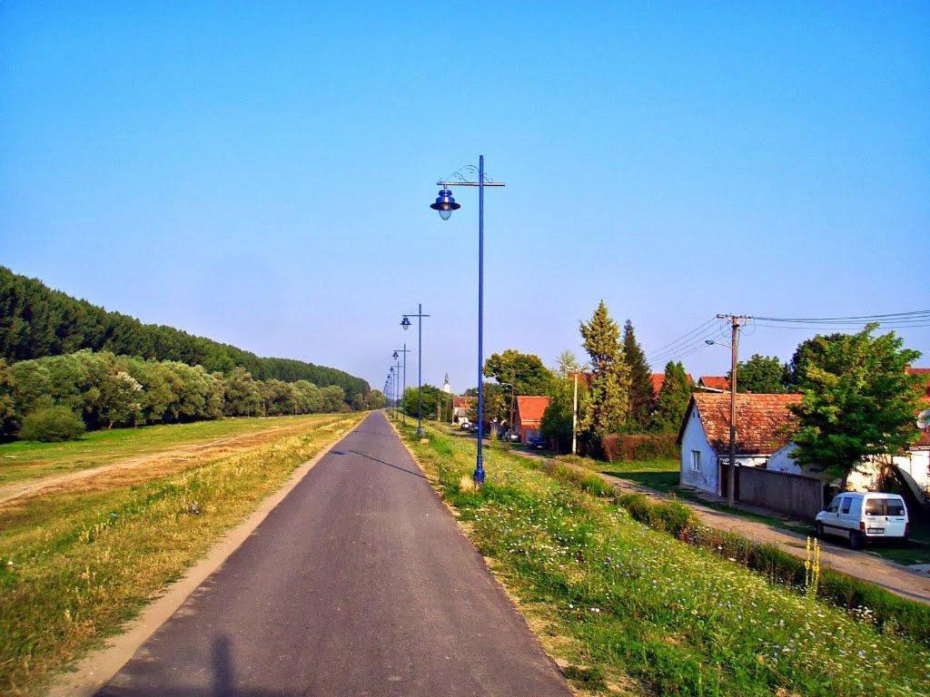 Danube Fairy Villa Futog Exteriör bild