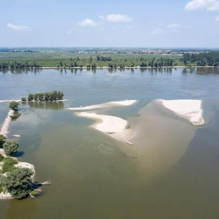 Danube Fairy Villa Futog Exteriör bild