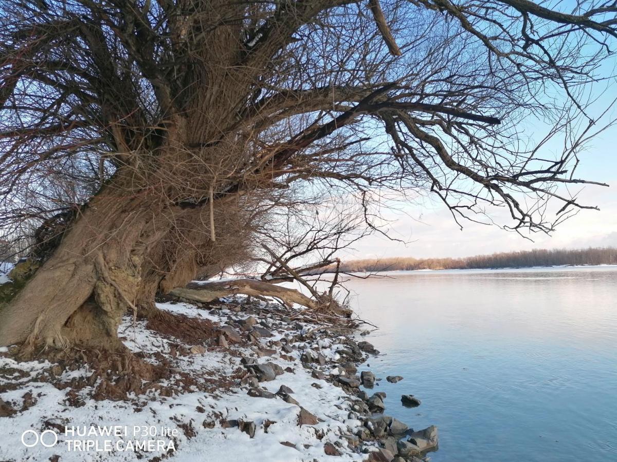 Danube Fairy Villa Futog Exteriör bild