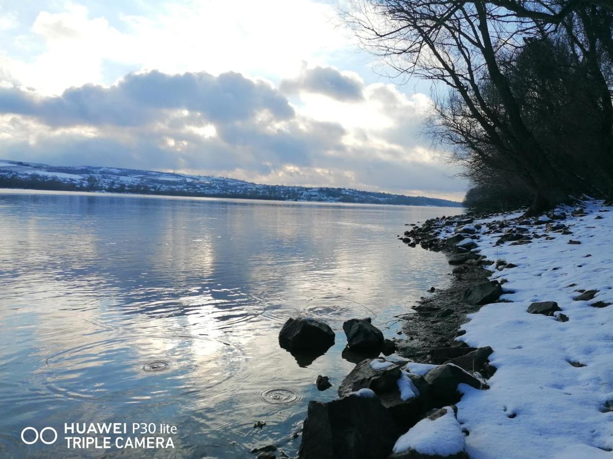 Danube Fairy Villa Futog Exteriör bild