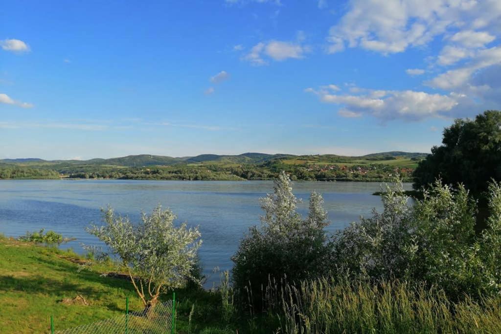 Danube Fairy Villa Futog Exteriör bild