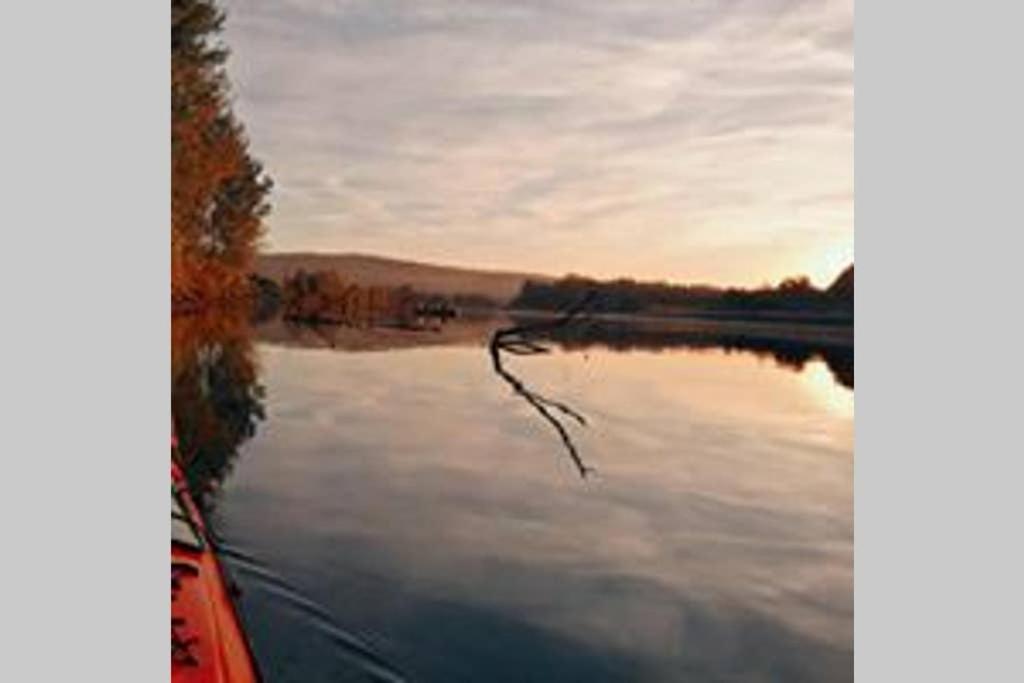 Danube Fairy Villa Futog Exteriör bild