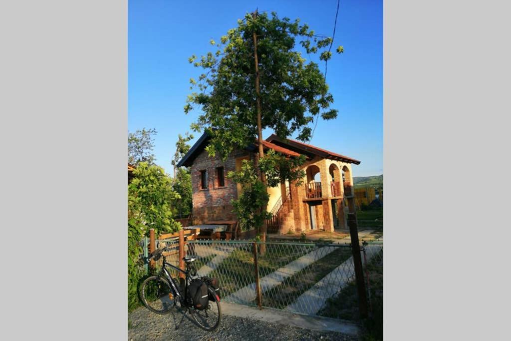 Danube Fairy Villa Futog Exteriör bild