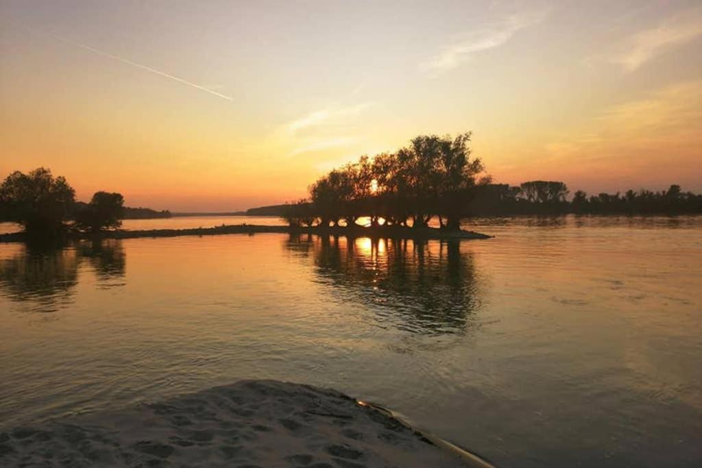 Danube Fairy Villa Futog Exteriör bild