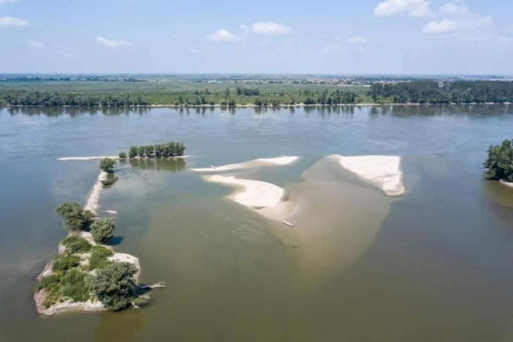 Danube Fairy Villa Futog Exteriör bild